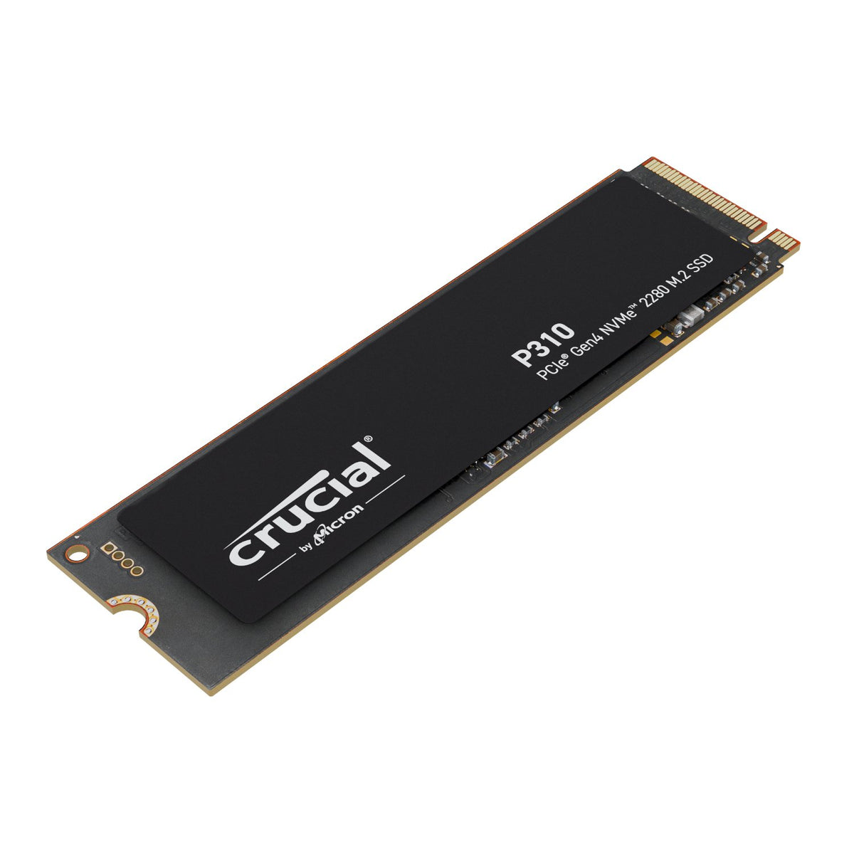 PCBuilder Ryzen 5 7600 SPECIALIST Windows 11 Gaming PC